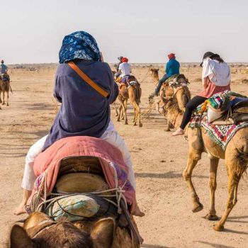 Things To Do In India