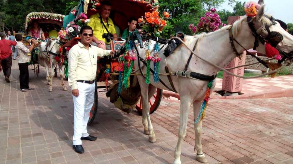 Tonga Ride in Agra
