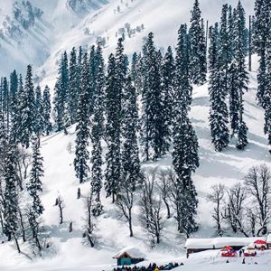 Book Splendors of Kashmir for 4 Nights 5 Days Tour