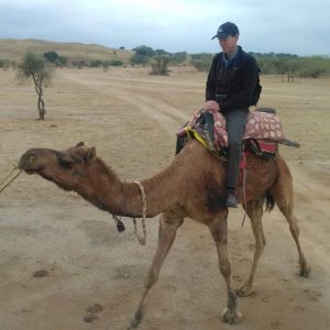 Experience the real North India Tour for 29 Days