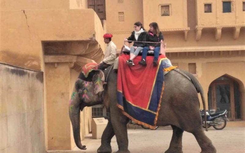 68945e321bb62-tour-guide-for-jaipur1.jpeg
